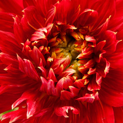 Similar image 7702073