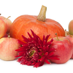 Similar image 7702075