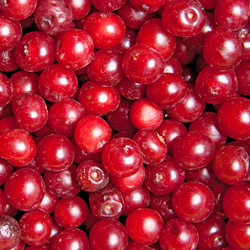 Similar image 7702076