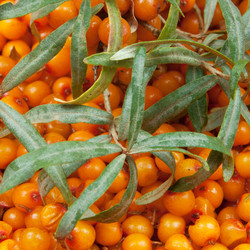 Similar image 7702077