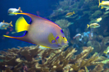 Similar image 7702078