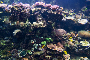 Similar image 7702080