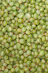 Similar image 7702084