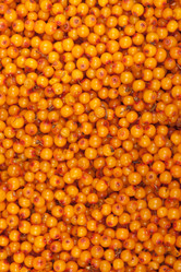 Similar image 7702085