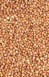 Similar image 7702090