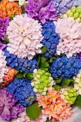 Similar image 7702097