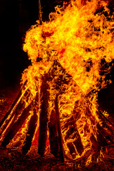 Similar image 7702241