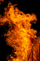 Similar image 7702244