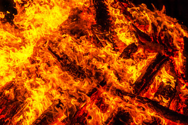 Similar image 7702246