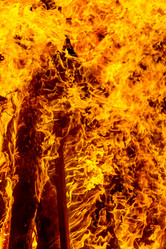 Similar image 7702248