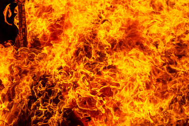 Similar image 7702290