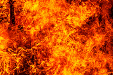 Similar image 7702293