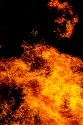 Similar image 7702295