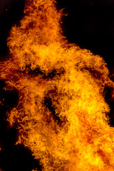 Similar image 7702296