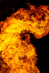 Similar image 7702305