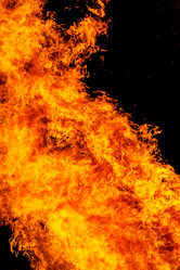 Similar image 7702308