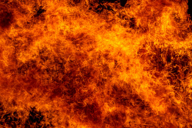 Similar image 7702336