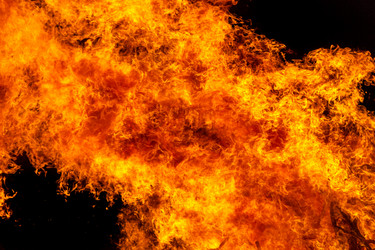 Similar image 7702339