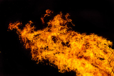 Similar image 7702340