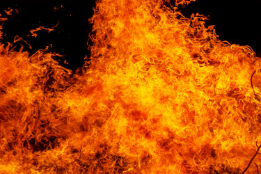 Similar image 7702344