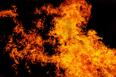 Similar image 7702346