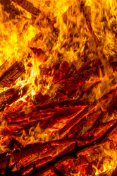 Similar image 7702352