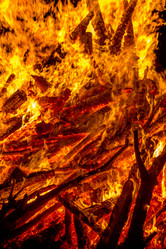 Similar image 7702356