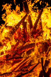 Similar image 7702361