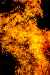 Similar image 7702362