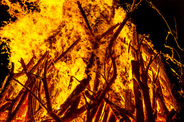 Similar image 7702366