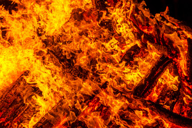 Similar image 7702390