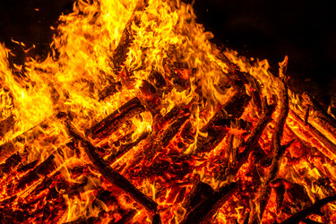 Similar image 7702395