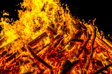 Similar image 7702397