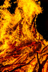 Similar image 7702399