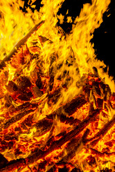 Similar image 7702403