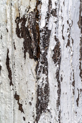 Similar image 7702431