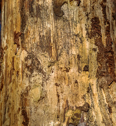 Similar image 7702443