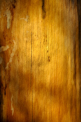 Similar image 7702446