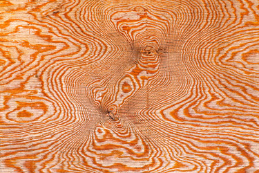 Similar image 7702454