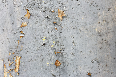 Similar image 7702470