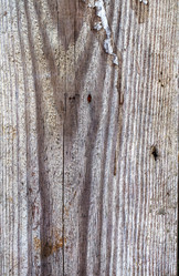 Similar image 7702475