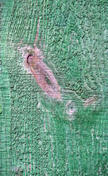 Similar image 7702476