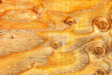 Similar image 7702479