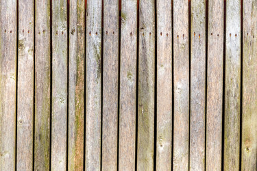 Similar image 7702484