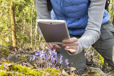 Similar image 7702761