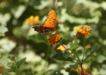 Similar image 7702770