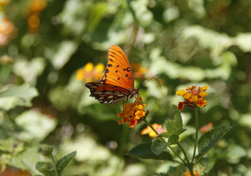 Similar image 7702771