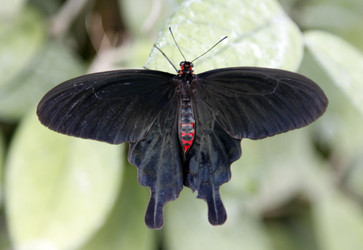 Similar image 7702772