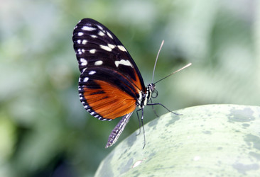 Similar image 7702774