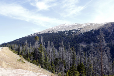 Similar image 7702792